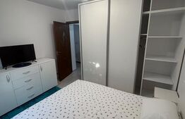 Apartament 2 camere, Etaj 3,  Rovine