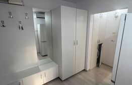 Apartament 2 camere, Etaj 3,  Rovine