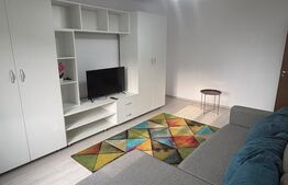 Apartament 2 camere, Etaj 3,  Rovine
