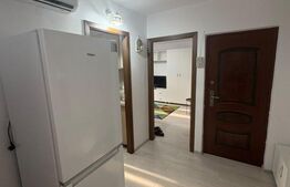 Apartament 2 camere, Etaj 3,  Rovine
