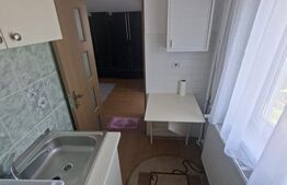 Garsonieră, mobilată si utilată, Rovine