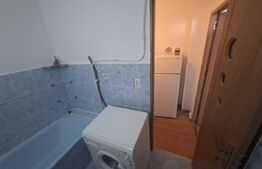 Garsonieră, mobilată si utilată, Rovine