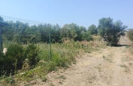 Teren Intravilan, Malu Mare