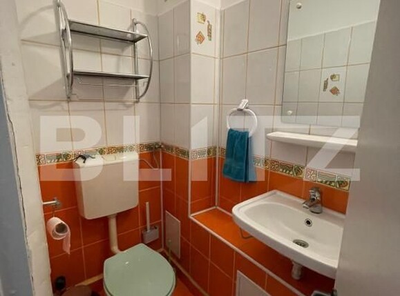 Apartament de vânzare 3 camere Lapus - 201356AV | BLITZ Craiova | Poza9