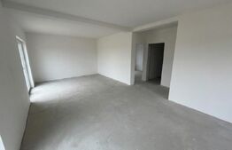 Casa parter, 65 mp utili, 220 mp teren, zona Damila