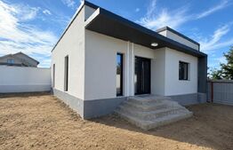 Casa parter, 65 mp utili, 220 mp teren, zona Damila