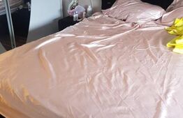     Pret redus! Apartament 2 camere, complet renovat, Bals, zona Centrala 