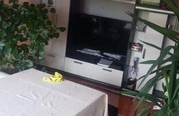     Pret redus! Apartament 2 camere, complet renovat, Bals, zona Centrala 