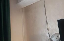     Pret redus! Apartament 2 camere, complet renovat, Bals, zona Centrala 