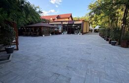 RESTAURAT functional, ocazie rara, suprafata de 2300mp, in FILIAȘI 