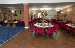 RESTAURAT functional, ocazie rara, suprafata de 2300mp, in FILIAȘI 