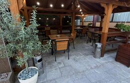 RESTAURAT functional, ocazie rara, suprafata de 2300mp, in FILIAȘI 