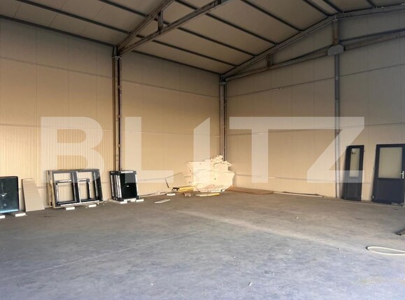 Spațiu industrial de vânzare Aeroport - 201491SVI | BLITZ Craiova | Poza4