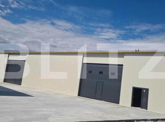 Spațiu industrial de vânzare Aeroport - 201491SVI | BLITZ Craiova | Poza2
