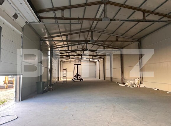 Spațiu industrial de vânzare Aeroport - 201491SVI | BLITZ Craiova | Poza7