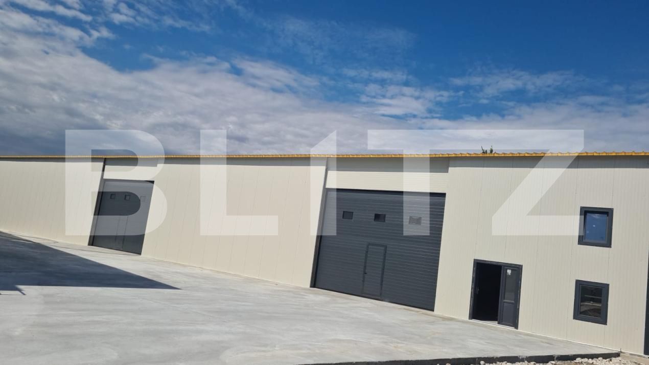 Spațiu industrial de vânzare Aeroport - 201491SVI | BLITZ Craiova | Poza2