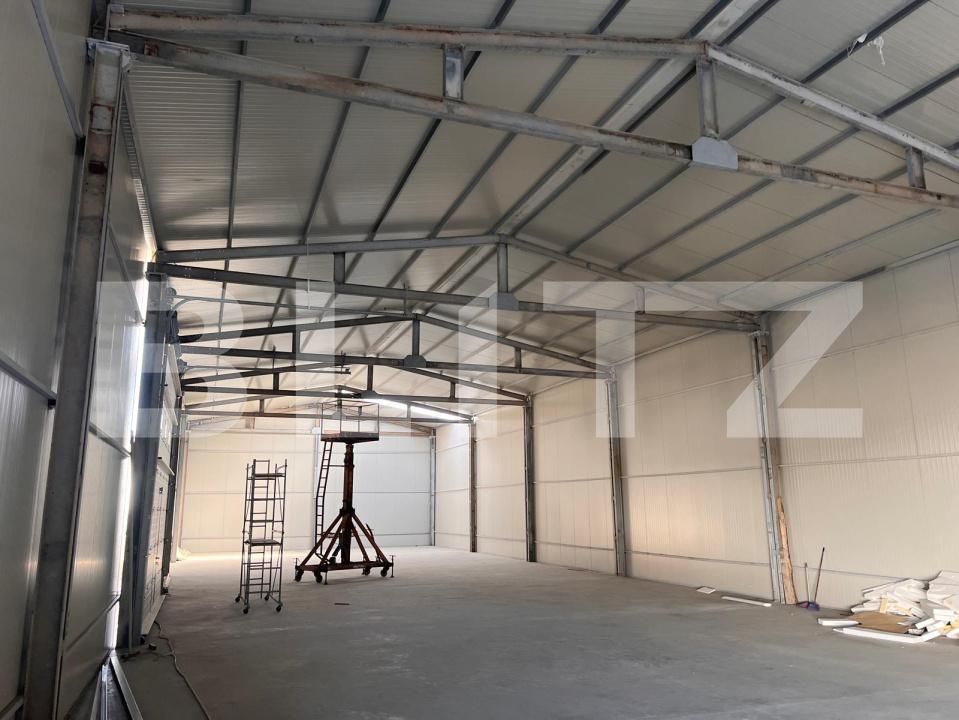 Spațiu industrial de vânzare Aeroport - 201491SVI | BLITZ Craiova | Poza3