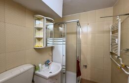 Apartament 2 camere, parter, zona Petre Ispirescu