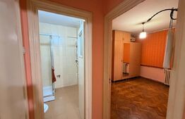 Apartament 2 camere, parter, zona Petre Ispirescu