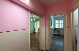 Apartament 2 camere, parter, zona Petre Ispirescu