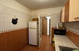 Apartament 2 camere cu balcon, et. 2, 52 mp, Brazda lui Novac