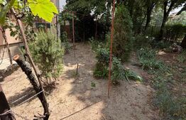 Apartament 2 camere decomandat, parter, Calea Bucuresti, zona Neuro.