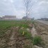 Teren de vânzare Exterior  Nord - 201590TV - Poza 1 din 7 | BLITZ Craiova | Poza2