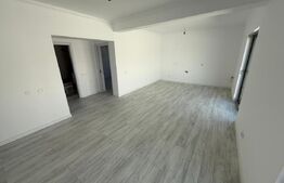 Casa parter, 65 mp utili, 220 mp teren, zona Damila