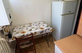 Garsonieră mobilată și utilată complet 