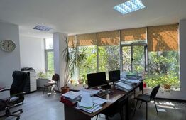 Spatiu comercial / birouri - 660 mp, Bulevardul Nicolae Titulescu