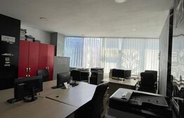 Spatiu comercial / birouri - 660 mp, Bulevardul Nicolae Titulescu