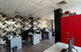 Spatiu comercial / birouri - 660 mp, Bulevardul Nicolae Titulescu
