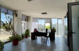 Spatiu comercial / birouri - 660 mp, Bulevardul Nicolae Titulescu