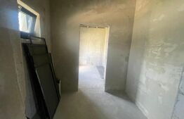 Casa 130 mp utili, teren 800 mp, hala 40 mp si vulcanizare, Mischii