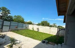 Casa 130 mp utili, teren 800 mp, hala 40 mp si vulcanizare, Mischii