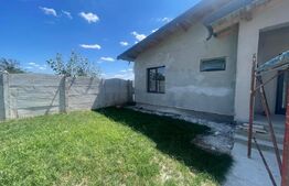 Casa 130 mp utili, teren 800 mp, hala 40 mp si vulcanizare, Mischii