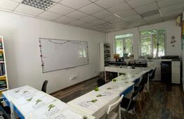 Spatiu comercial, Ultracentral  