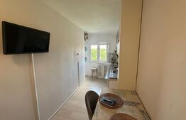 Apartament 2 camere, decomandat, Rovine
