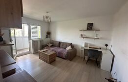 Apartament 2 camere decomandat 45mp + balcon Rovine