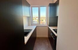 Apartament nou cu 2 camere, centrala si aer, zona Calea Severinului