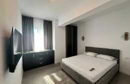 Apartament nou cu 2 camere, centrala si aer, zona Calea Severinului