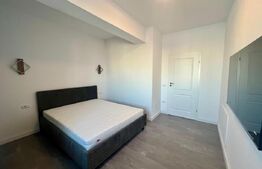 Apartament nou cu 2 camere, centrala si aer, zona Calea Severinului