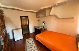 Camera de camin, 23 mp, zona Sarari