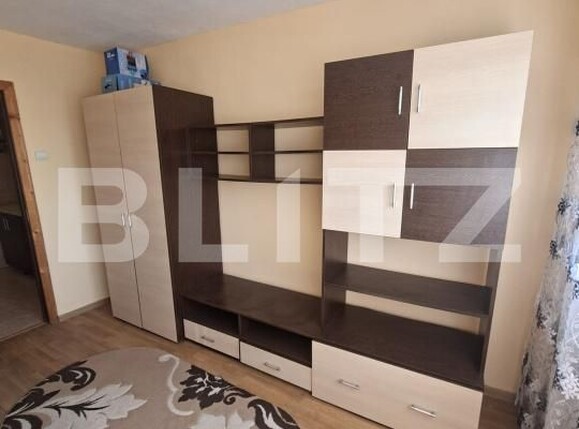 Garsonieră de vânzare Valea Rosie - 201983AV | BLITZ Craiova | Poza2