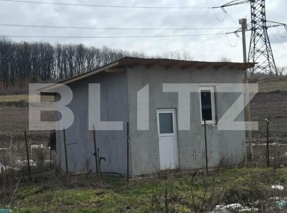 Teren de vânzare Poiana Mare - 202083TV | BLITZ Craiova | Poza1
