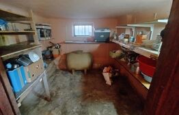 Casă Fratostita 5 camere , 1100 mp curte, deschidere 14,6 m