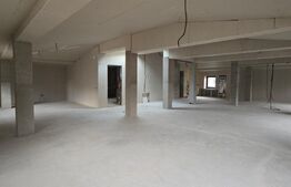 Spațiu comercial tip casa, D+P+M, 440 mp, zonă centrală Craiova