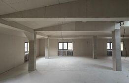 Spațiu comercial tip casa, D+P+M, 440 mp, zonă centrală Craiova