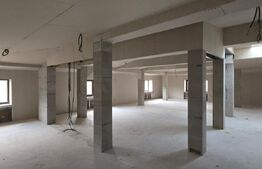 Spațiu comercial tip casa, D+P+M, 440 mp, zonă centrală Craiova