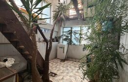 Casa P+M, 777 mp teren, Breasta